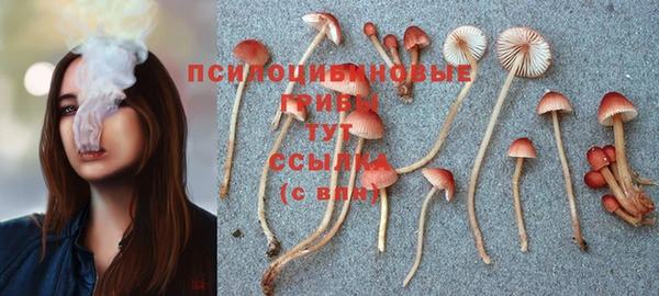 каннабис Аркадак