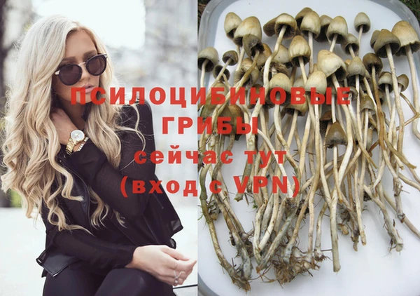 прущие крисы Армянск