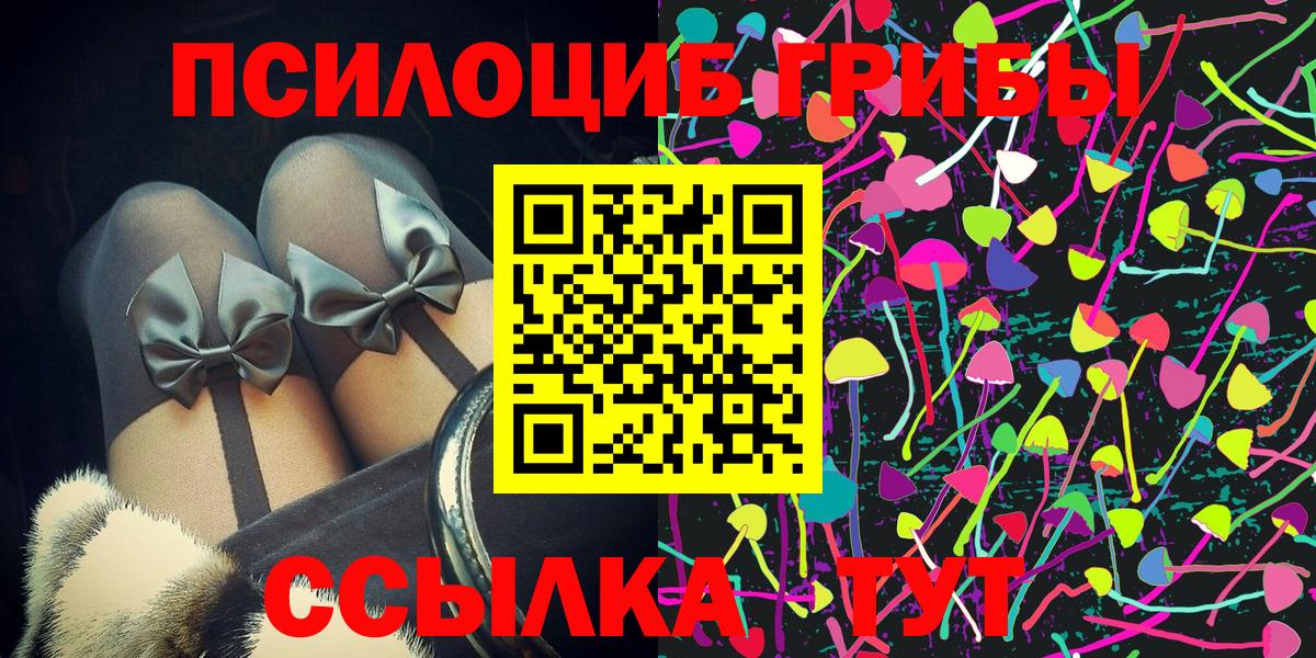 Псилоцибиновые грибы Psilocybine cubensis Ахтубинск