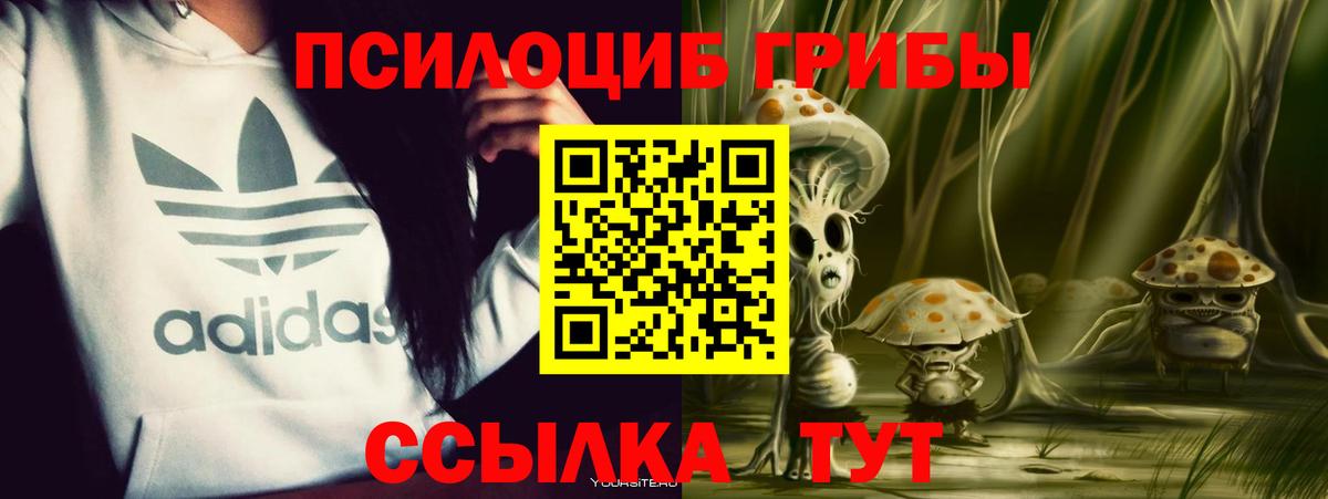 Галлюциногенные грибы мицелий  Вход с VPN  Ахтубинск 