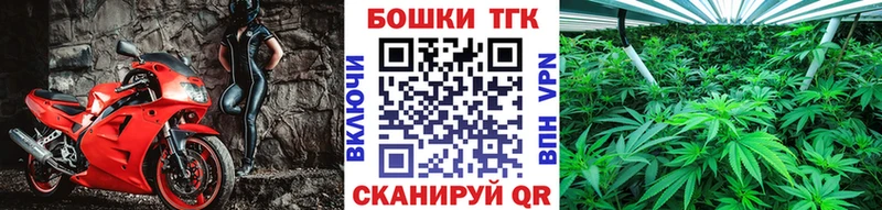 Бошки марихуана THC 21%  Ахтубинск 